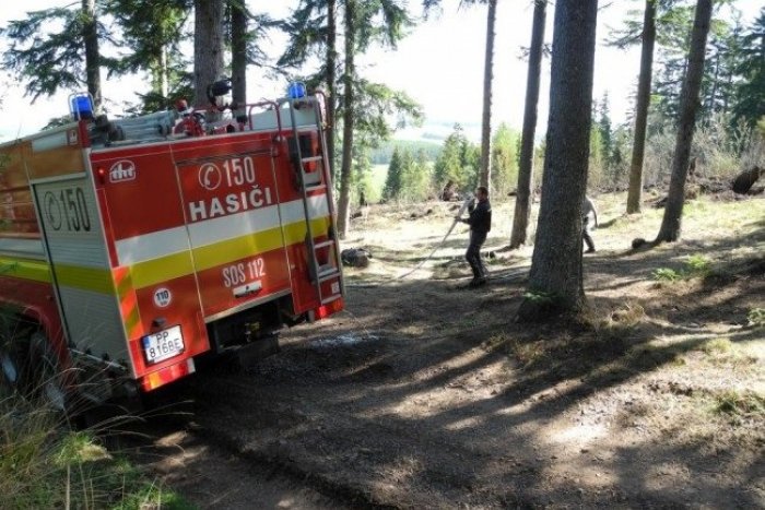 Ilustračný obrázok k článku Nešťastie v lese pri Prešove: V doline zavalil strom lesného robotníka, muž zomrel!