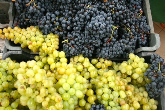 Ilustračný obrázok k článku Blíži sa Račianske vinobranie 2014