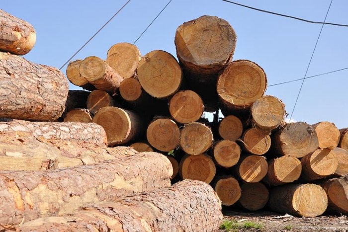 Ilustračný obrázok k článku Cestu vyťaženého tatranského dreva už môže sledovať aj verejnosť: Ako to funguje?