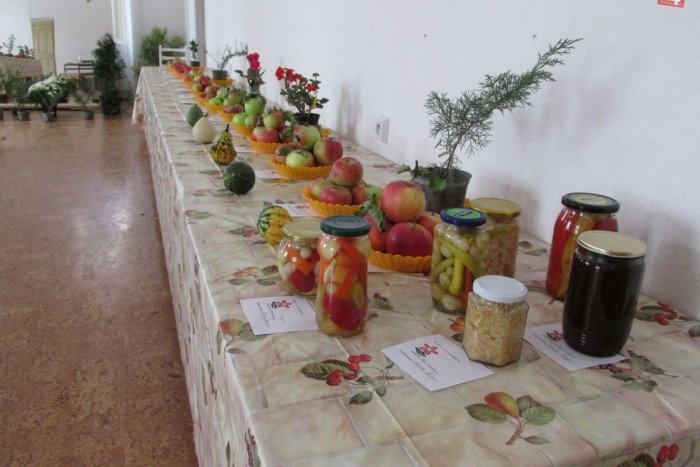 Ilustračný obrázok k článku Začala zlatomoravecká výstava ovocia a zeleniny: Pozrite si fotky vystavovaných kúskov