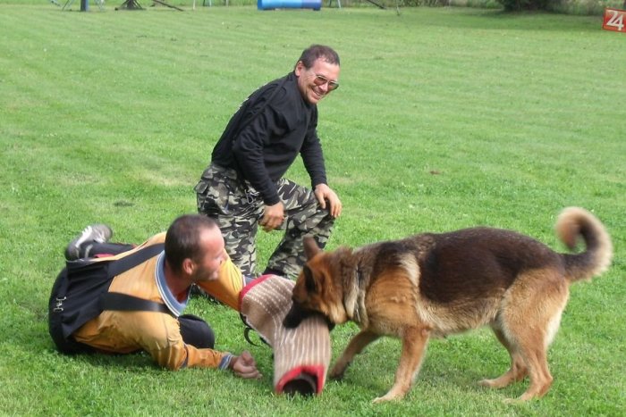 Ilustračný obrázok k článku O vzrušujúce momenty bolo v Moravciach postarané: Psy predviedli zadržanie páchateľa!