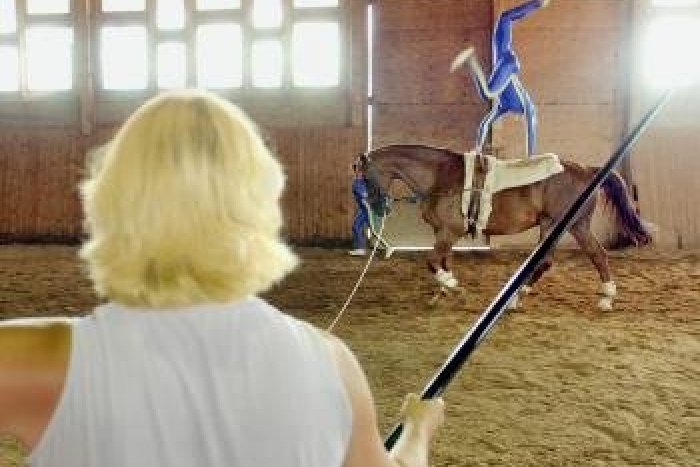 Ilustračný obrázok k článku V Topoľčiankach sa zídu najlepší z najlepších: Akrobacia aj krkolomná gymnastika na koni!