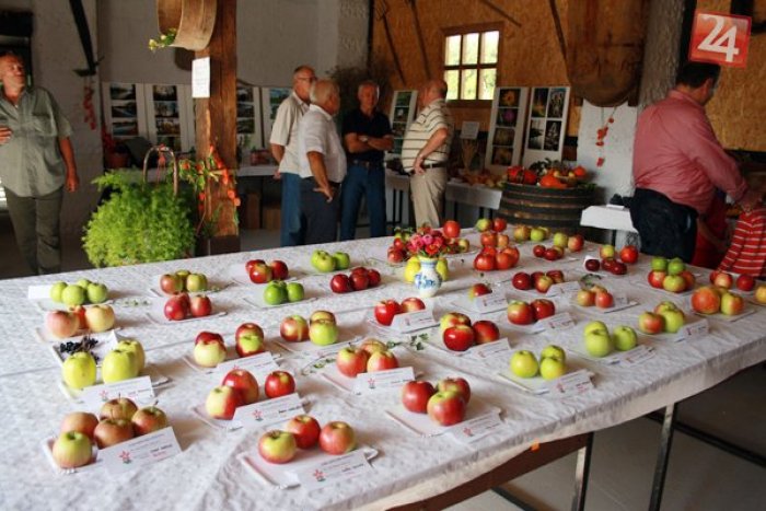 Ilustračný obrázok k článku V Šúrovciach hľadali najkrajšie jablko a hrušku: Takto vyzerajú víťazi