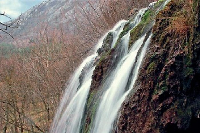 Ilustračný obrázok k článku Vychádza nová kniha s poviedkami z okolia Sorošky. Do života ju uvedú na Slivkovom festivale