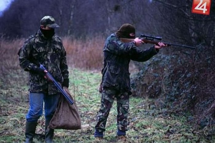 Ilustračný obrázok k článku V neďalekých lesoch vyčíňa pytliak: Jeleň skončil bez hlavy!