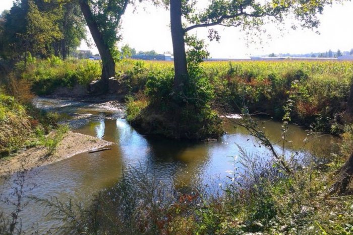 Ilustračný obrázok k článku Potok v Moravciach bude mať nový vzhľad: Začína sa veľká brigáda