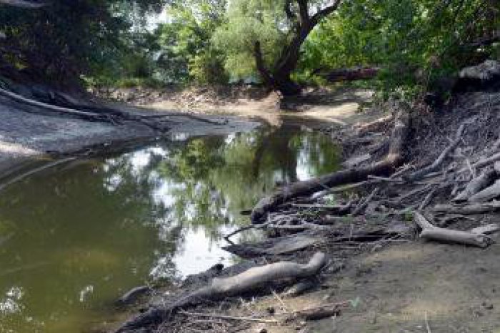 Ilustračný obrázok k článku V Hlavnom meste už onedlho sprietočnia Devínske rameno