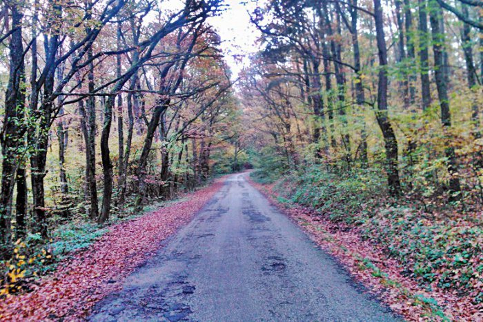 Ilustračný obrázok k článku VIDEO: Jeseň pohltila aj neďaleký Pačanský kopec. Pozrite na tú krásu!