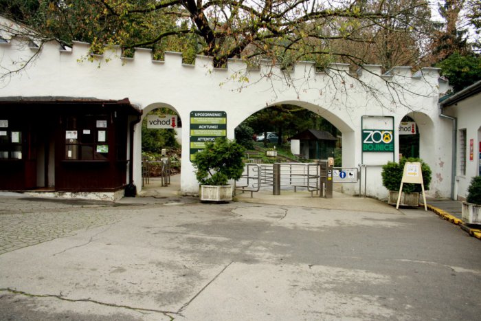 Ilustračný obrázok k článku Rekonštrukcie v ZOO Bojnice za milióny: Aha, čo všetko opravia!