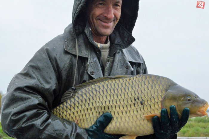 Ilustračný obrázok k článku THE BIG FISH DAY OPÄŤ V METRO IVANKA!