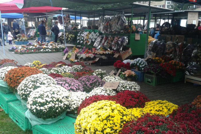 Ilustračný obrázok k článku Dušičkový tovar: Aké sú ceny živých kvetov či vencov na tržnici?