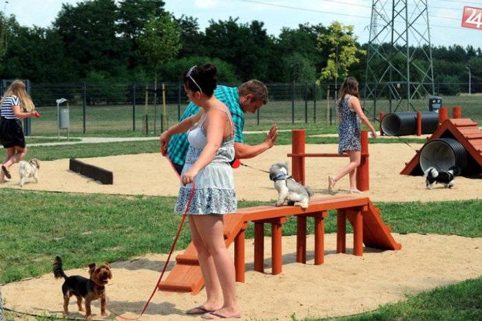 Ilustračný obrázok k článku Voľne pustené psy sú v Poprade utópiou: Dočkajú sa niekedy psíčkari parku pre svojich štvornohých miláčikov?