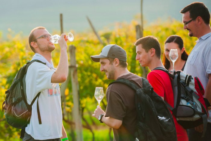 Ilustračný obrázok k článku Známa vinohradnícka dedina Zemplína láka návštevníkov: Ak milujete víno, hneď zbystrite pozornosť!