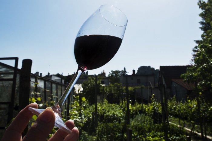 Ilustračný obrázok k článku Chystá sa 6. ročník degustácie vín: Nalievať sa bude Čermáňske červené