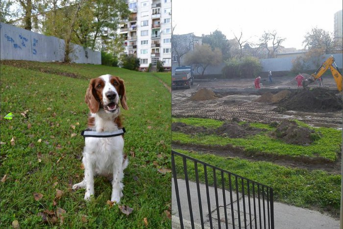 Ilustračný obrázok k článku Nové parkovisko v Zámkoch OBRAZOM: Pustili sa do seba psíčkari a majitelia áut