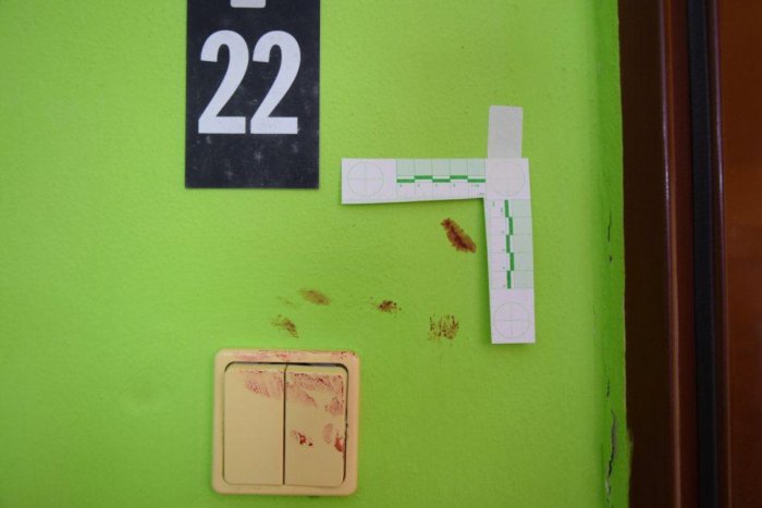 Ilustračný obrázok k článku Policajti s novými informáciami o brutálnom útoku syna (20) na vlastnú matku (42): Čítajte, ako sa to stalo + FOTO!