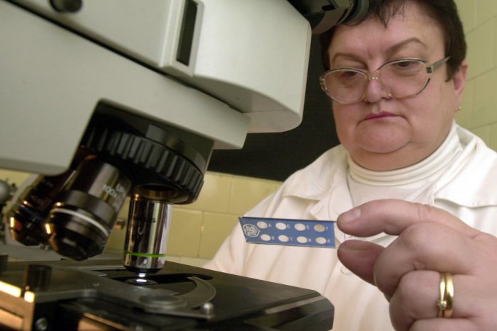 Ilustračný obrázok k článku Počet prípadov syfilisu v Trnave stúpol: Netrápi len asociálov