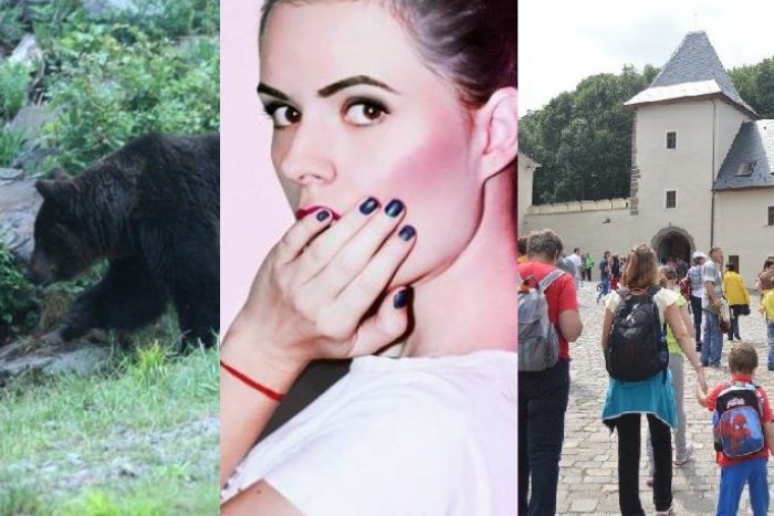 Ilustračný obrázok k článku TOP 10 najčítanejších článkov roku 2014: Lučenčanov zaujala krásna fotografka aj medveď túlajúci sa po meste