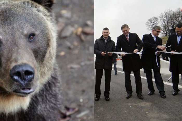 Ilustračný obrázok k článku TOP 10 najčítanejších článkov roku 2014: Prievidžanov najviac zaujal primátorkin plat či medveď v Lesoparku