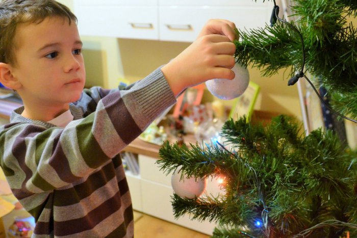 Ilustračný obrázok k článku Máte ešte doma vianočný stromček? Začína sa ich zber, pozrite si podmienky