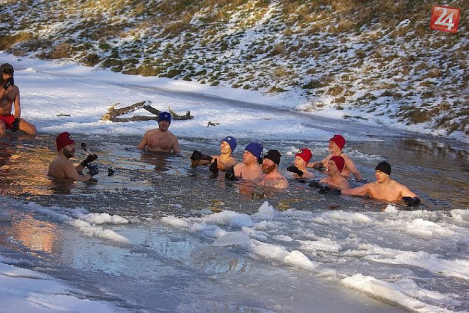 Ilustračný obrázok k článku Ľadové medvede budú v akcii v Michalovciach: Okúsia chladné vody Laborca