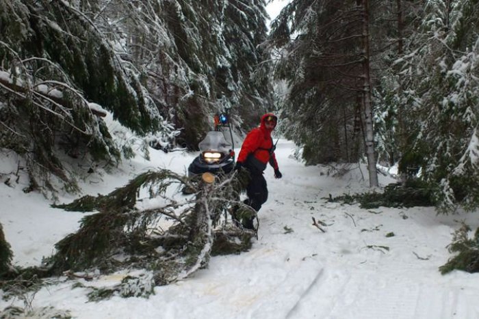 Ilustračný obrázok k článku Víchrica polámala stromy v Západných Tatrách: Chodník v Žiarskej doline je už spriechodnený