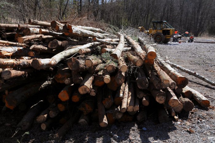 Ilustračný obrázok k článku Sľuby sa sľubujú a v lesoparku si opäť (stále) treba dávať pozor na nákladiaky plné dreva