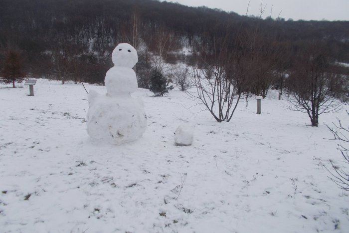 Ilustračný obrázok k článku OBRAZOM: V Devínskej Novej Vsi sa čerstvo napadaný sneh stále drží