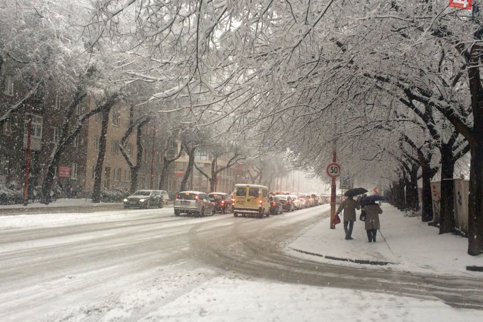 Ilustračný obrázok k článku Kalamita v Bratislave: Konár nevydržal nápor snehu, zavalil malého chlapca. V meste je viacero obmedzení