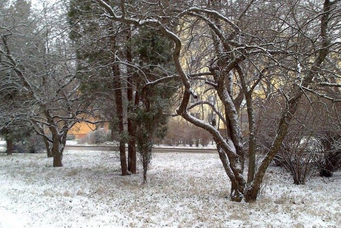 Ilustračný obrázok k článku Sneženie v Moravciach: Cestári sú od rána v pohotovosti, kde nastali najkomplikovanejšie situácie?