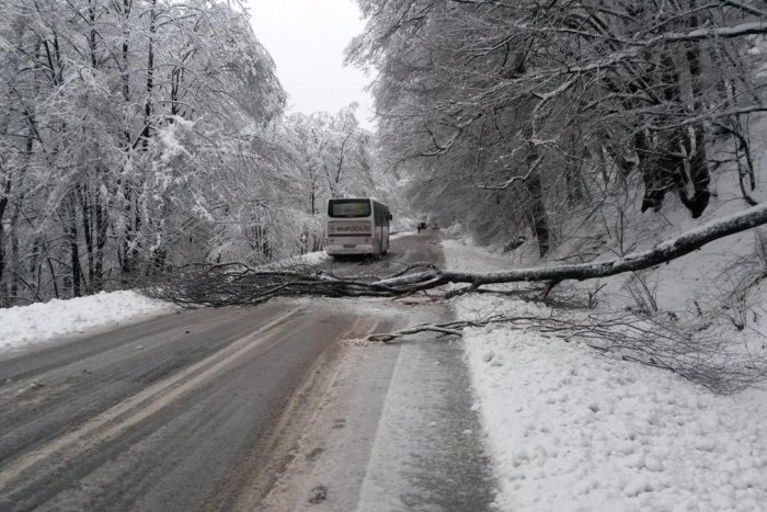 Ilustračný obrázok k článku Snehová kalamita zasiahla aj Rožňavu: Perinbaba priniesla nehody, popadané stromy či neprejazdné cesty!