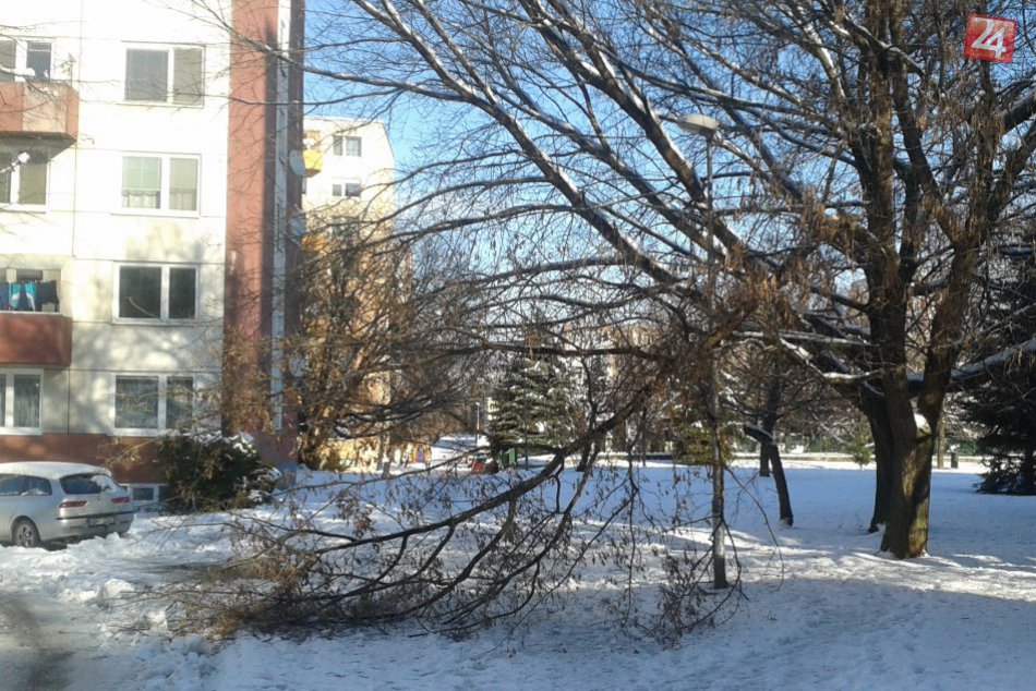 Ilustračný obrázok k článku Zlámané stromy a popadané konáre: Ťažký sneh si vybral svoju daň