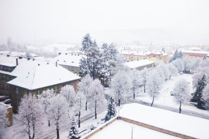 Ilustračný obrázok k článku Zasnežené mesto objektívmi Prešovčanov: Kopy bielej periny aj drozd skrývajúci sa pred snehom