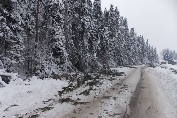 Ilustračný obrázok k článku MIMORIADNY stav v okrese na strednom Slovensku UKONČILI: Padali tam stromy