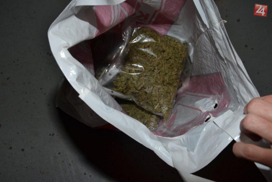 Ilustračný obrázok k článku Patrik (27) z Michaloviec lieta v poriadnom probléme: Policajti mu našli v aute igelitku plnú trávy! FOTO