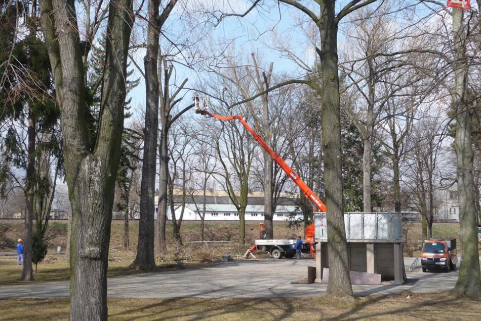 Ilustračný obrázok k článku AKTUÁLNE z mesta: Stromy v našom parku verzus veľká plošina z Nitry!