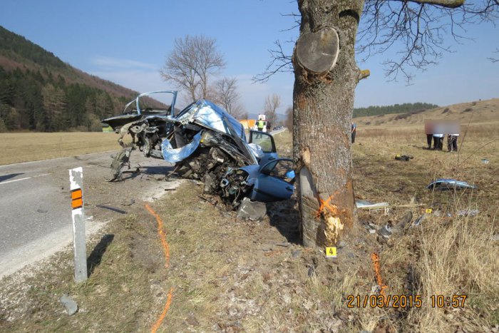 Ilustračný obrázok k článku Náraz do stromu vodička (†28) neprežila: Polícia hľadá svedkov nehody
