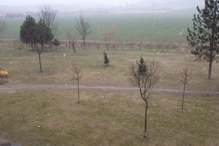 Ilustračný obrázok k článku Šok pre všetkých, čo sa už tešili z jarného počasia: V Spišskej začalo snežiť!  VIDEO