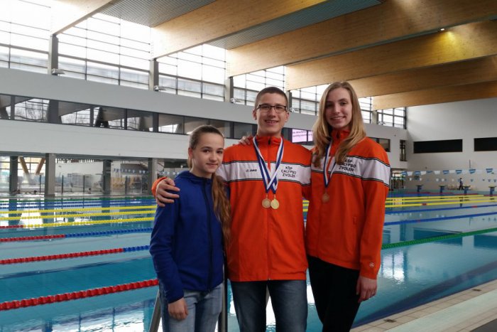 Ilustračný obrázok k článku Nestratili sa ani v zahraničí: Plavci Calypsa Zvolen si z Maďarska doviezli 3 medaile a cenné skúsenosti