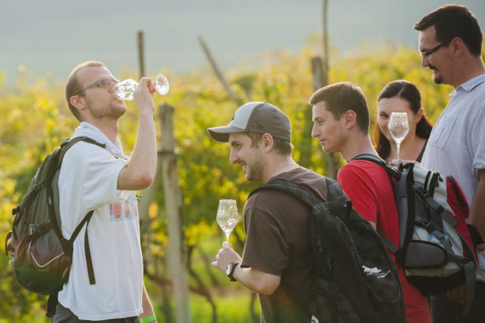 Ilustračný obrázok k článku Viac turistov, podporiť vínny turizmus i cykloturistiku, to sú ciele Pezinka