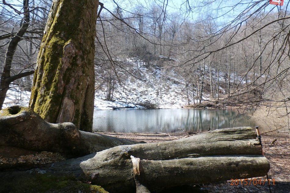 Ilustračný obrázok k článku V našom okolí by mali vzniknúť prírodné rezervácie: Vihorlatský prales a Rydošová