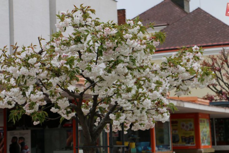 Ilustračný obrázok k článku Čo ponúka víkend na prelome mesiacov? 7 tipov na trávenie voľných dní v Michalovciach