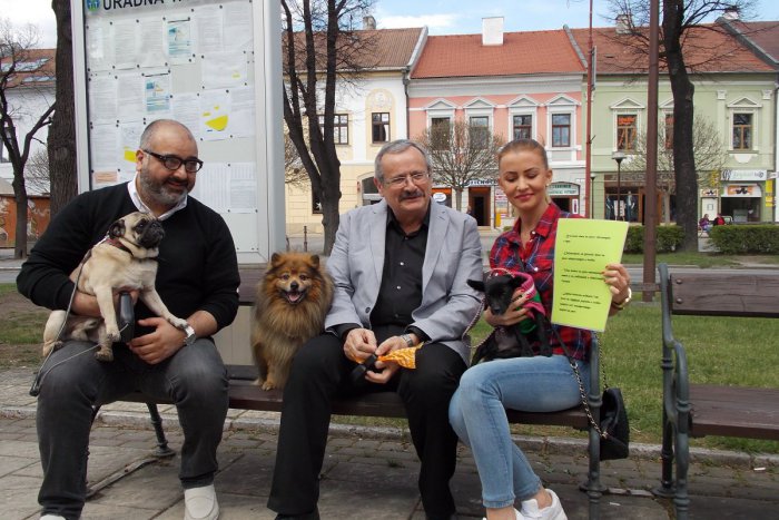 Ilustračný obrázok k článku Napätá atmosféra medzi psíčkarmi a nepsíčkarmi v Spišskej: V meste sa obrusovali hrany!