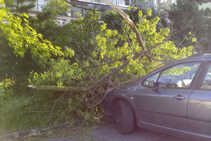 Ilustračný obrázok k článku Popadané stromy, poškodené strechy aj problémy s dopravou. Pre silný vietor zasahovali bratislavskí hasiči až 50-krát