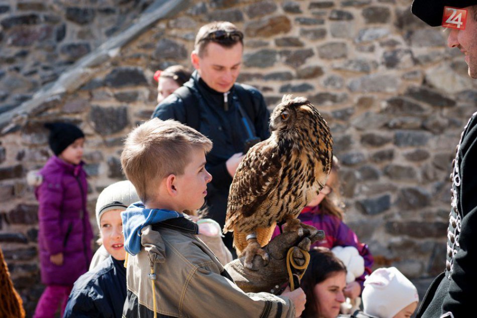 Ilustračný obrázok k článku Na Nitriansky hrad prileteli vzácni hostia: Návštevníkov vítajú dravé vtáky a sokoliar Tomáš