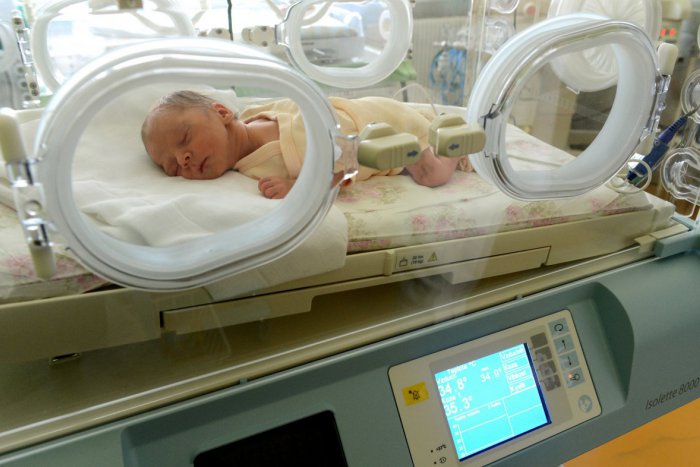 Ilustračný obrázok k článku Detské nemocnice získali z projektu 34 inkubátorov: Život zachraňujúce prístroje pribudnú aj v Zámkoch