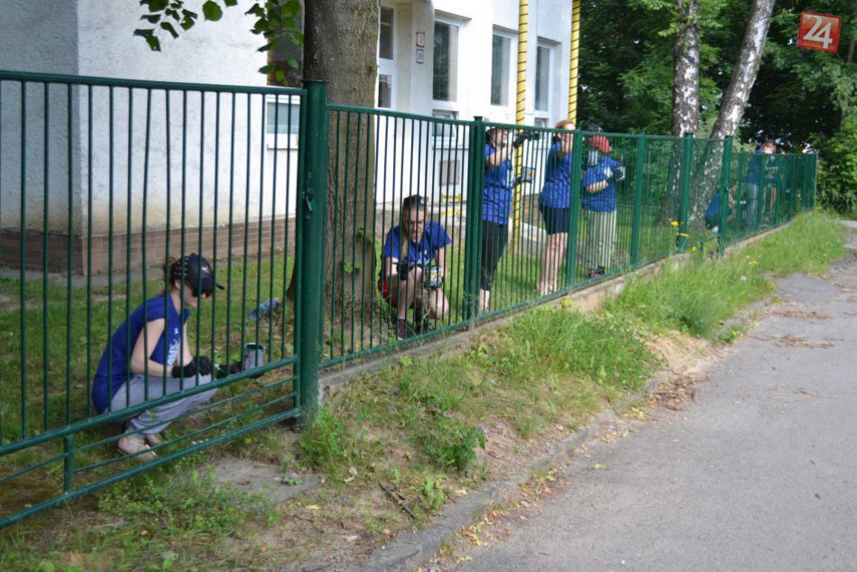 Ilustračný obrázok k článku Vďaka podujatiu Naše mesto obnovia plot škôlky na Svätoplukovej ulici