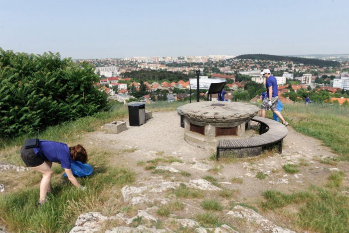 Ilustračný obrázok k článku Desiatky ľudí v uliciach: Rozhodli sa skrášliť Nitru