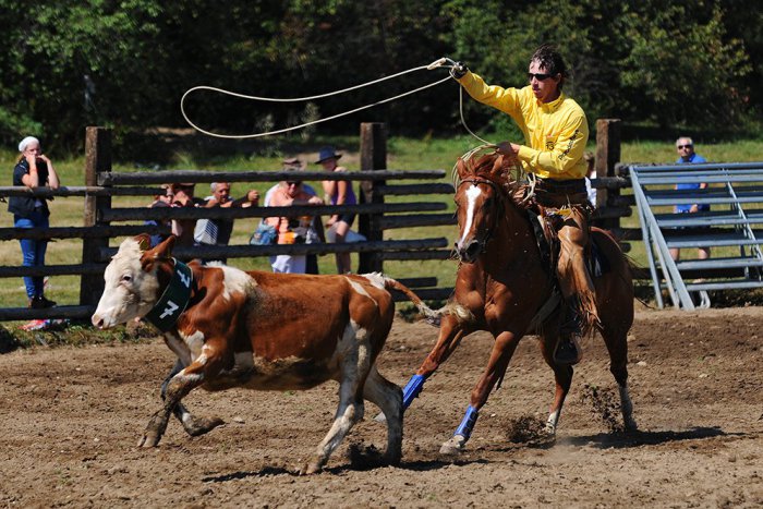 Ilustračný obrázok k článku Parádna akcia pre milovníkov koní. Divoký západ len na skok od Revúcej
