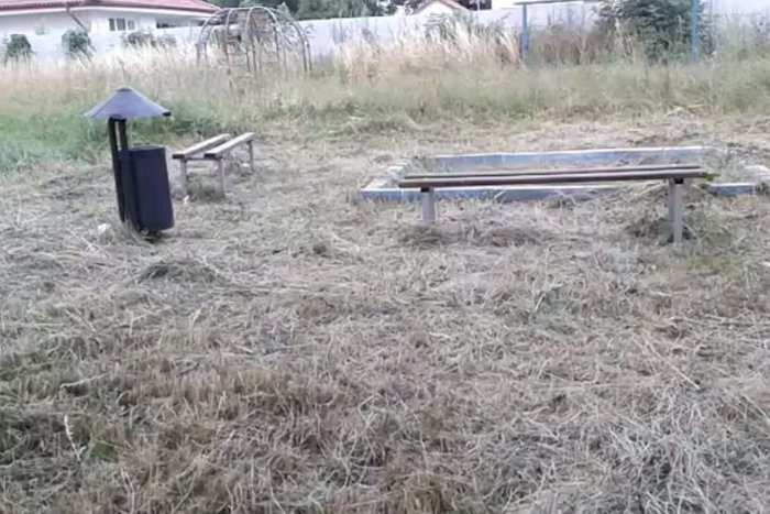 Ilustračný obrázok k článku V Moravciach už o burine vznikajú aj videá: Pozrite, čo ľudia vešajú na Youtube